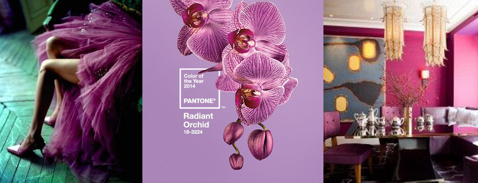 Pantone 2014 Color of the Year:  Radiant Orchid